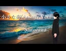小さな海(Answer Ver.)/Saitozawa【Saitozawa Channel五周年記念楽曲】