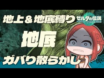 【ゼルダの伝説TotK_地上＆地底縛り】ガバです。よろしくお願いします。#19
