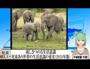 【動画News】厳しさつのる生活意識…児童あり世帯の生活意識の変化(2024年版)(2024/07/25)
