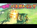 ハイラル式超高速パンチングマシンが楽しすぎるw【ティアキン TotK】裏技 バグ 検証 ゆっくり実況 glitch