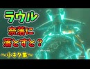 快速無限ロケット術！水球武器でBT？奈落ラウルなど小ネタ集【ティアキン TotK】裏技 バグ 検証 ゆっくり実況 glitch