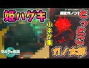 新どこでもSLD･とっとこガノ太郎･空中浮遊ゼルダなど小ネタ集【ティアキン TotK】裏技 バグ 検証 ゆっくり実況 glitch