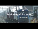 YOUKASUGAICHO ZONE