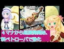 盾増やすついでに展開音奏 ハイオリーダ（デュエルマスターズ彩澄りりせ、桜乃そら解説）