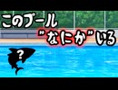 このプール『なにか』いる…。