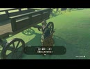 ゼルダの伝説　ティアーズ オブ ザ キングダム　実況プレイPart44
