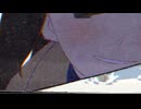 【(′ω｀⊂ )】 無残なかわいさ 【２９】 (実況)