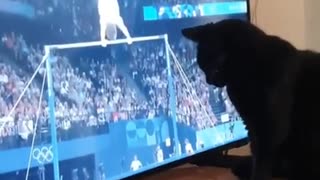 オリンピックを阻止する猫