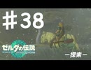 【初見実況】 第三八話　探索　【 ゼルダの伝説 ティアーズオブザキングダム 】