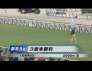 【ウマ娘風】24.8.3 新潟5R 3歳未勝利【サダムオプシス】