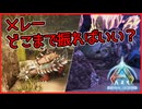 【ASAゆっくり解説】鉄掘りってメレーどこまで振ればいい？