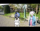 コシりょま。