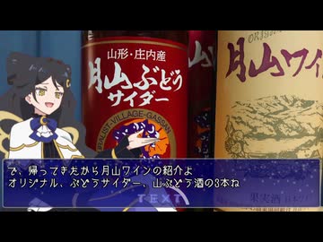 X(旧Twitter)に上げてた日記動画まとめ②