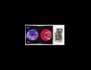d2B VS DEARDROPS -Cross the Future-