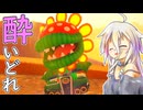 酔いどれドライバーセイカさん #555【マリオカート8DX】