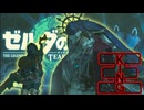 Oh…王大きいですね『ゼルダの伝説 ティアーズ オブ ザ キングダム』#22
