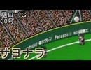 ぴかりまリーグ　2ndシーズン　今日のホームラン　132試合目　
