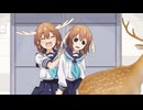 のこたんの抜け毛【しかのこのこのここしたんたん ６話】