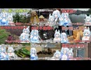 2024年7月6日-14日　空白の期間のまとめその4