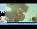 【生放送アーカイブ】やっと宝飾店店長を助けに行くティアキン生放送37回目【5/8】