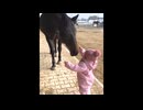 幼女と馬の優しいひととき