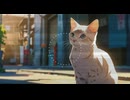 Lo-Fi Hip Hop｜Coffee Time｜コーヒーの時間｜BGM