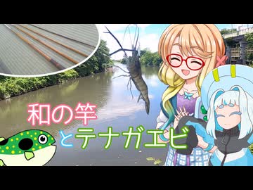 そらさんと釣りの思い出３６～和の竿とテナガエビ～