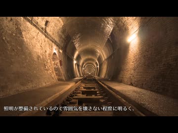 〔お散歩日記〕山梨県・勝沼を歩く。釈迦堂博物館～「ぶどう寺」大善寺～大日影トンネル