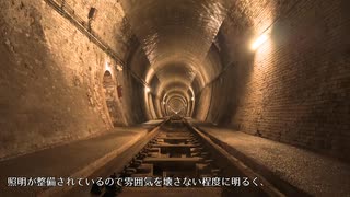 〔お散歩日記〕山梨県・勝沼を歩く。釈迦堂博物館～「ぶどう寺」大善寺～大日影トンネル