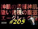 大橋を掛けたりまたまた神肌の貴種と戯れたり蛇の羊膜を手に入れて色々考えたりします【初見】エルデンリング実況／盗賊王物語【オフライン】#205