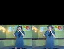 ポニーテールとシュシュ／AKB48