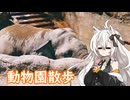 徳山動物園でお散歩！