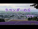 ラベンダーの丘【VY2】作詞/作曲 万馬研太朗、編曲 石井務