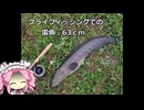 激痛のめたんと地獄の雷魚（フライフィッシング）【VOICEROIDフィッシング】四国めたんと中国うさぎ