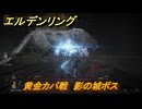 エルデンリングDLC　黄金カバ戦　影の城ボス　＃１１　【ELDEN RING】