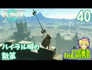 【TK40】ハイラル城の散策！ゼルダの伝説ティアーズオブザキングダムを実況学習【VTuber】