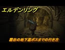 エルデンリングDLC　霧谷の地下墓ボスまでの行き方　＃３０　【ELDEN RING】