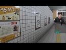 【8番出口】好奇心に負けてクリアを逃すマヌケ【ツイキャス】