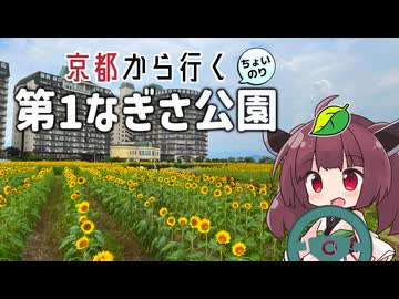 京都から行くちょい乗りドライブスポット #06「第1なぎさ公園」