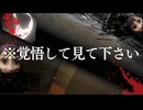 2年前に流行った本当に怖いと噂のホラーゲームがヤバすぎた…【This is Miranda】