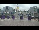 てんしゃばフェスタ踊り子隊　HEY∞WA!　たまよさこい(大通り会場)