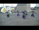 てんしゃばフェスタ踊り子隊　HEY∞WA!　大2夏フェス