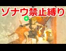 ゾナウ禁止縛りpart35【ティアキン/制限プレイ/ゼルダの伝説ティアーズオブザキングダム】