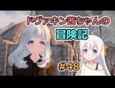 【SkyrimSE】ドヴァキン茜ちゃんの冒険記 #48【VOICEROID実況】