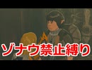 ゾナウ禁止縛りpart36【ティアキン/制限プレイ/ゼルダの伝説ティアーズオブザキングダム】