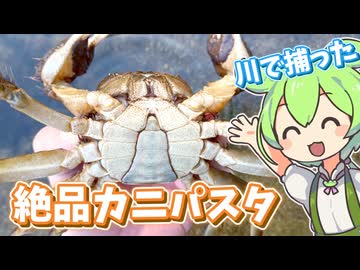 モクズガニを捕って和風パスタに～水中映像もあるよ～