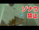 ゾナウ禁止縛りpart37【ティアキン/制限プレイ/ゼルダの伝説ティアーズオブザキングダム】