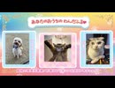 わんだふるぷりきゅあ！ あなたのおうちのわんだふる❤19〜21