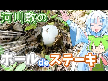 その辺に生えてたボールを食べてみよう【オニフスベのステーキ】