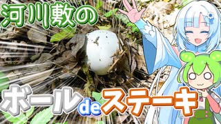 その辺に生えてたボールを食べてみよう【オニフスベのステーキ】